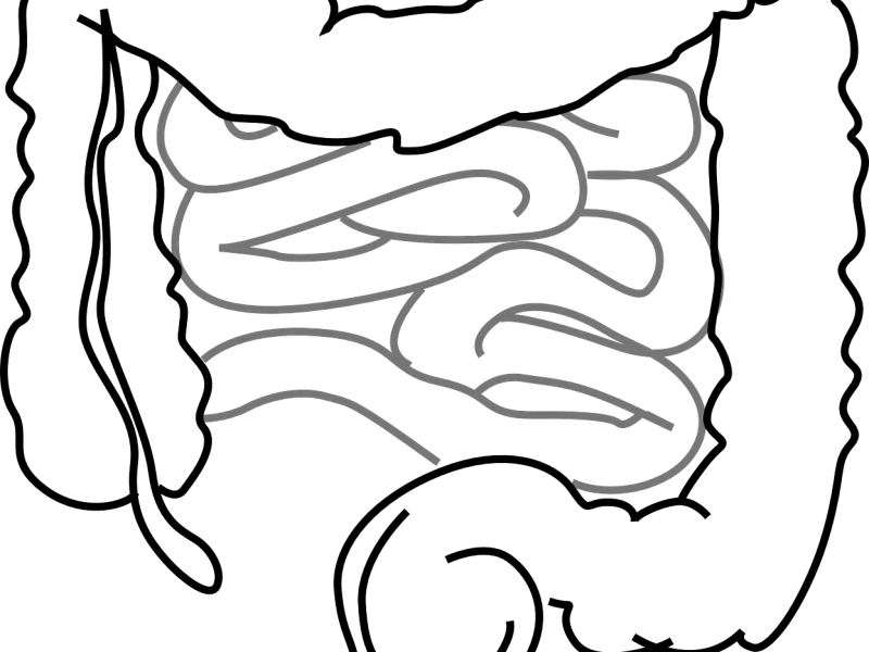 Greške prilikom tretiranja propustljivih creva Greške prilikom tretiranja propustljivih creva